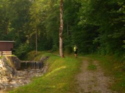 2013-07-20_Regina-F-Rau_Kochel-Rabenkopf (029)b.JPG